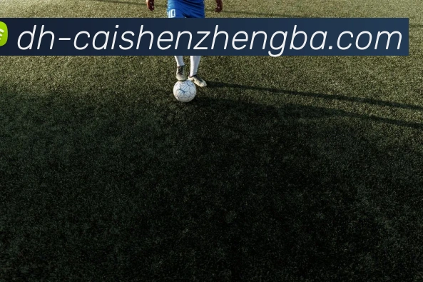 奖项图2
